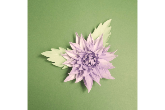 Download Venus Mini Flower - Premium Resources