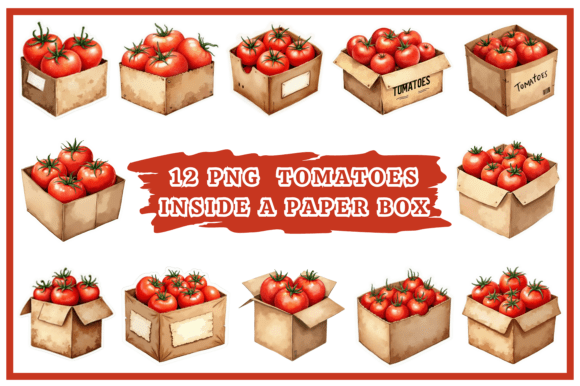 Download Tomatoes Watercolor Clipart Bundle #29 - Premium Resources
